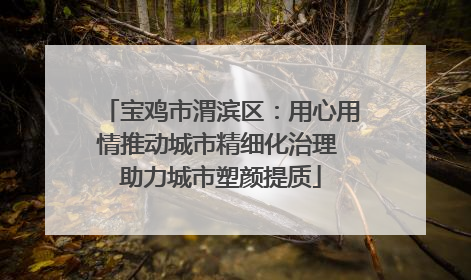 宝鸡市渭滨区：用心用情推动城市精细化治理 助力城市塑颜提质