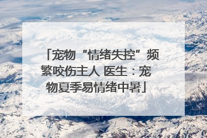 宠物“情绪失控”频繁咬伤主人 医生：宠物夏季易情绪中暑