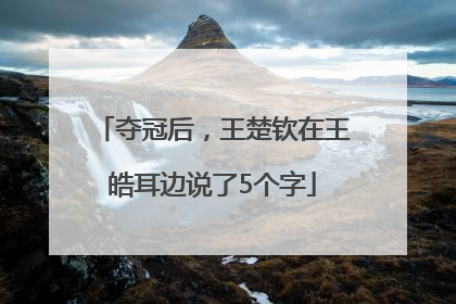 夺冠后，王楚钦在王皓耳边说了5个字
