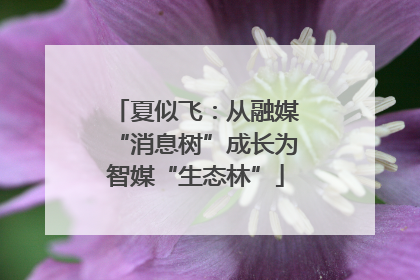 夏似飞：从融媒“消息树”成长为智媒“生态林”