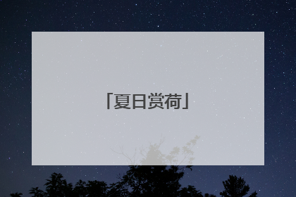 夏日赏荷
