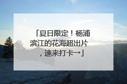 夏日限定！杨浦滨江的花海超出片，速来打卡→