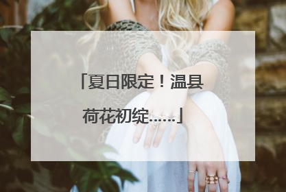 夏日限定！温县荷花初绽……