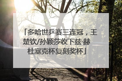 多哈世乒赛三连冠，王楚钦/孙颖莎收下兹·赫杜塞克杯复刻奖杯