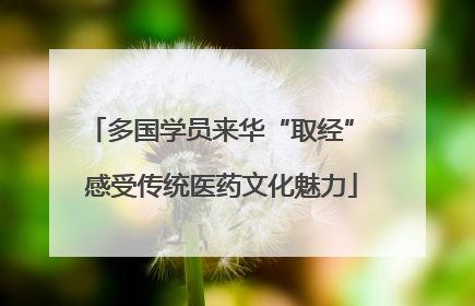 多国学员来华“取经” 感受传统医药文化魅力