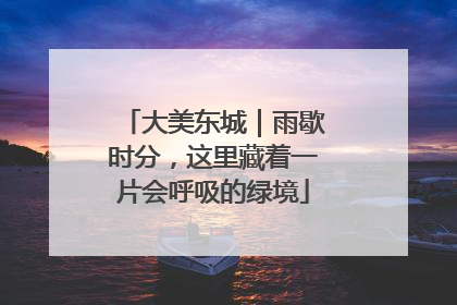 大美东城｜雨歇时分，这里藏着一片会呼吸的绿境