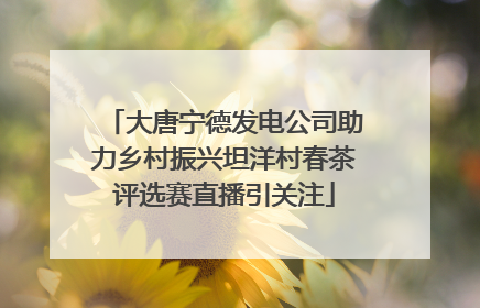 大唐宁德发电公司助力乡村振兴坦洋村春茶评选赛直播引关注