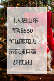 大唐山东郓城630℃国家电力示范项目稳步推进