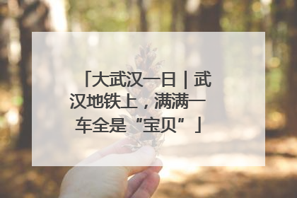 大武汉一日｜武汉地铁上，满满一车全是“宝贝”