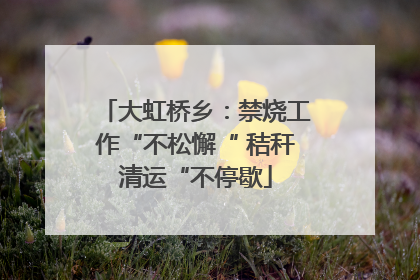 大虹桥乡：禁烧工作“不松懈“ 秸秆清运“不停歇