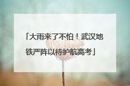 大雨来了不怕！武汉地铁严阵以待护航高考