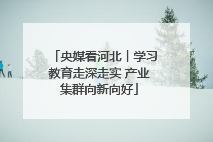 央媒看河北丨学习教育走深走实 产业集群向新向好