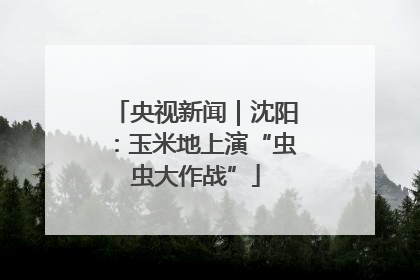 央视新闻｜沈阳：玉米地上演“虫虫大作战”