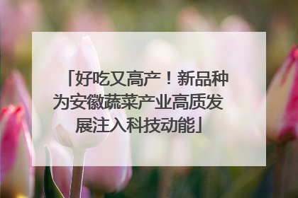 好吃又高产！新品种为安徽蔬菜产业高质发展注入科技动能