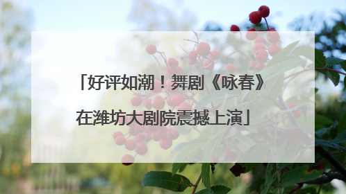 好评如潮！舞剧《咏春》在潍坊大剧院震撼上演