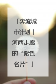 奔流城市计划丨河西走廊的“紫色名片”