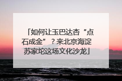 如何让玉巴达杏“点石成金”？来北京海淀苏家坨这场文化沙龙
