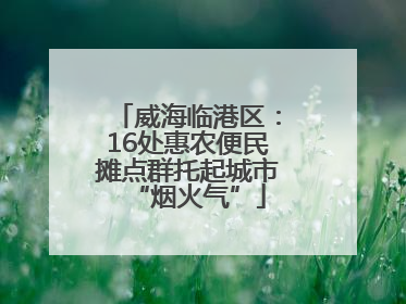 威海临港区：16处惠农便民摊点群托起城市“烟火气”