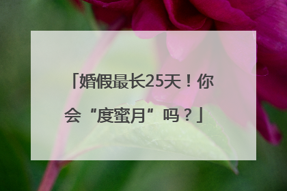 婚假最长25天！你会“度蜜月”吗？