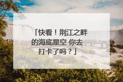 快看！荆江之畔的海底星空 你去打卡了吗？