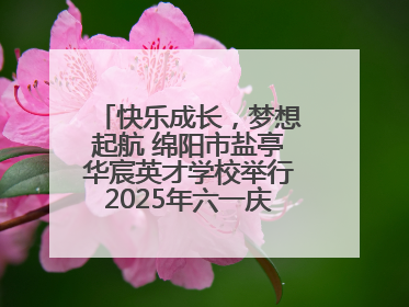 快乐成长，梦想起航 绵阳市盐亭华宸英才学校举行2025年六一庆祝活动