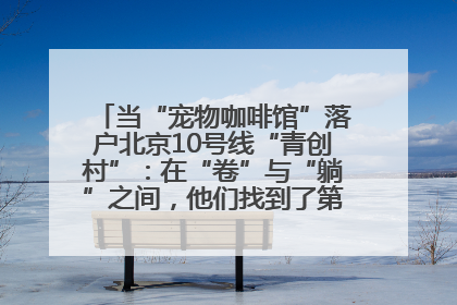当“宠物咖啡馆”落户北京10号线“青创村”：在“卷”与“躺”之间，他们找到了第三种生活公式