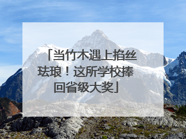 当竹木遇上掐丝珐琅！这所学校捧回省级大奖