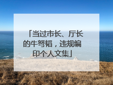 当过市长、厅长的牛弩韬，违规编印个人文集