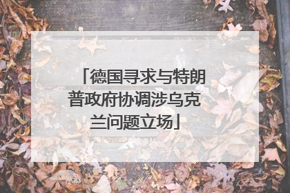 德国寻求与特朗普政府协调涉乌克兰问题立场