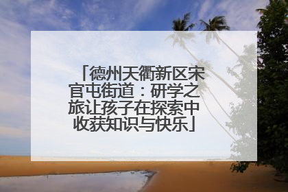 德州天衢新区宋官屯街道：研学之旅让孩子在探索中收获知识与快乐