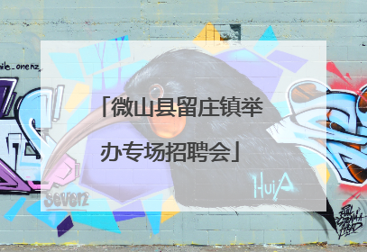 微山县留庄镇举办专场招聘会