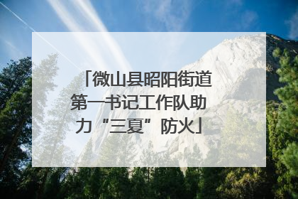 微山县昭阳街道第一书记工作队助力“三夏”防火