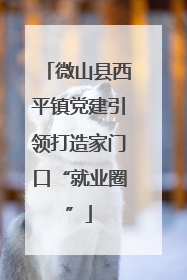 微山县西平镇党建引领打造家门口“就业圈”