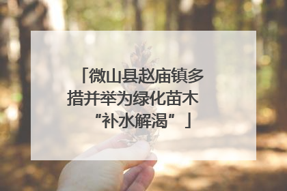 微山县赵庙镇多措并举为绿化苗木“补水解渴”