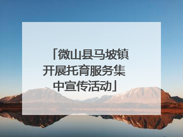 微山县马坡镇开展托育服务集中宣传活动