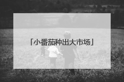 小番茄种出大市场