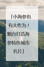 小海参也有大作为！烟台打造海参特色城市名片