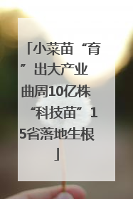 小菜苗“育”出大产业 曲周10亿株“科技苗”15省落地生根