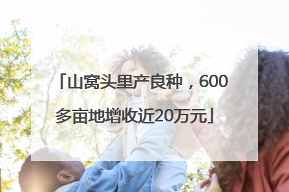山窝头里产良种，600多亩地增收近20万元