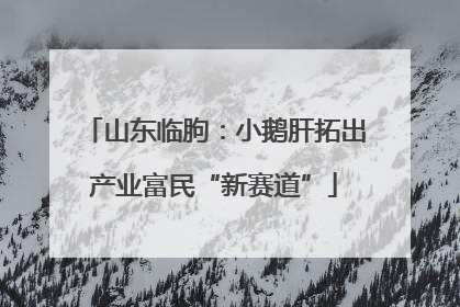 山东临朐：小鹅肝拓出产业富民“新赛道”