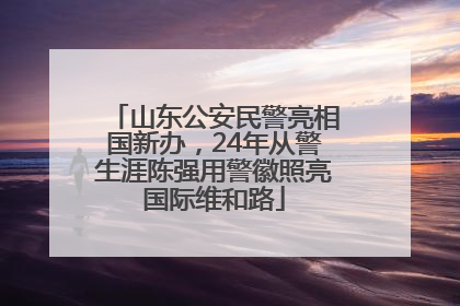 山东公安民警亮相国新办，24年从警生涯陈强用警徽照亮国际维和路