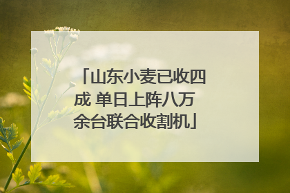 山东小麦已收四成 单日上阵八万余台联合收割机
