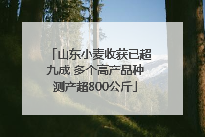 山东小麦收获已超九成 多个高产品种测产超800公斤