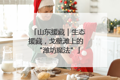 山东援藏｜生态援藏，戈壁滩上的“潍坊魔法”