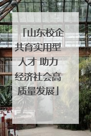 山东校企共育实用型人才 助力经济社会高质量发展