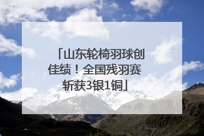 山东轮椅羽球创佳绩！全国残羽赛斩获3银1铜