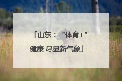 山东：“体育+”健康 尽显新气象