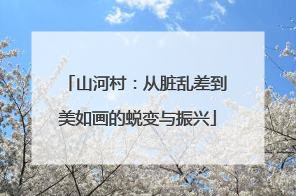 山河村：从脏乱差到美如画的蜕变与振兴