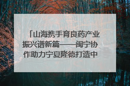 山海携手育良药产业振兴谱新篇——闽宁协作助力宁夏隆德打造中药材产业高地