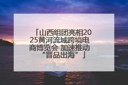山西组团亮相2025黄河流域跨境电商博览会 加速推动“晋品出海”